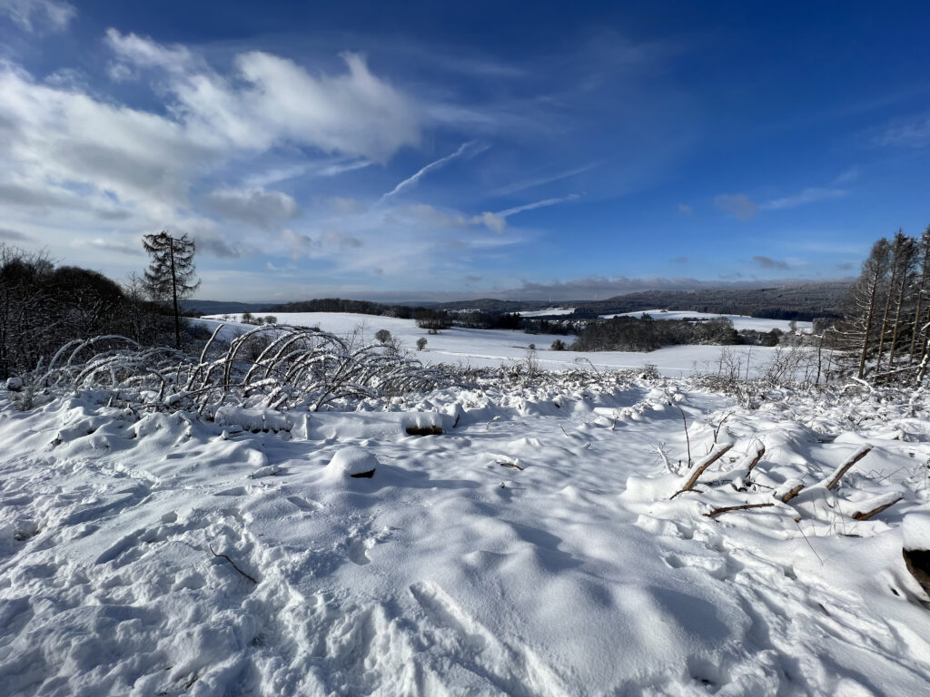 Winterlandschaft 2023